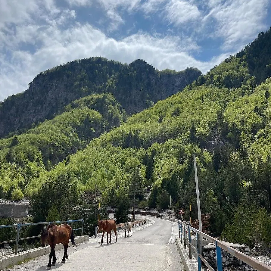 Gjovalin Lokthi Hotel Shkoder 0*,  Albania